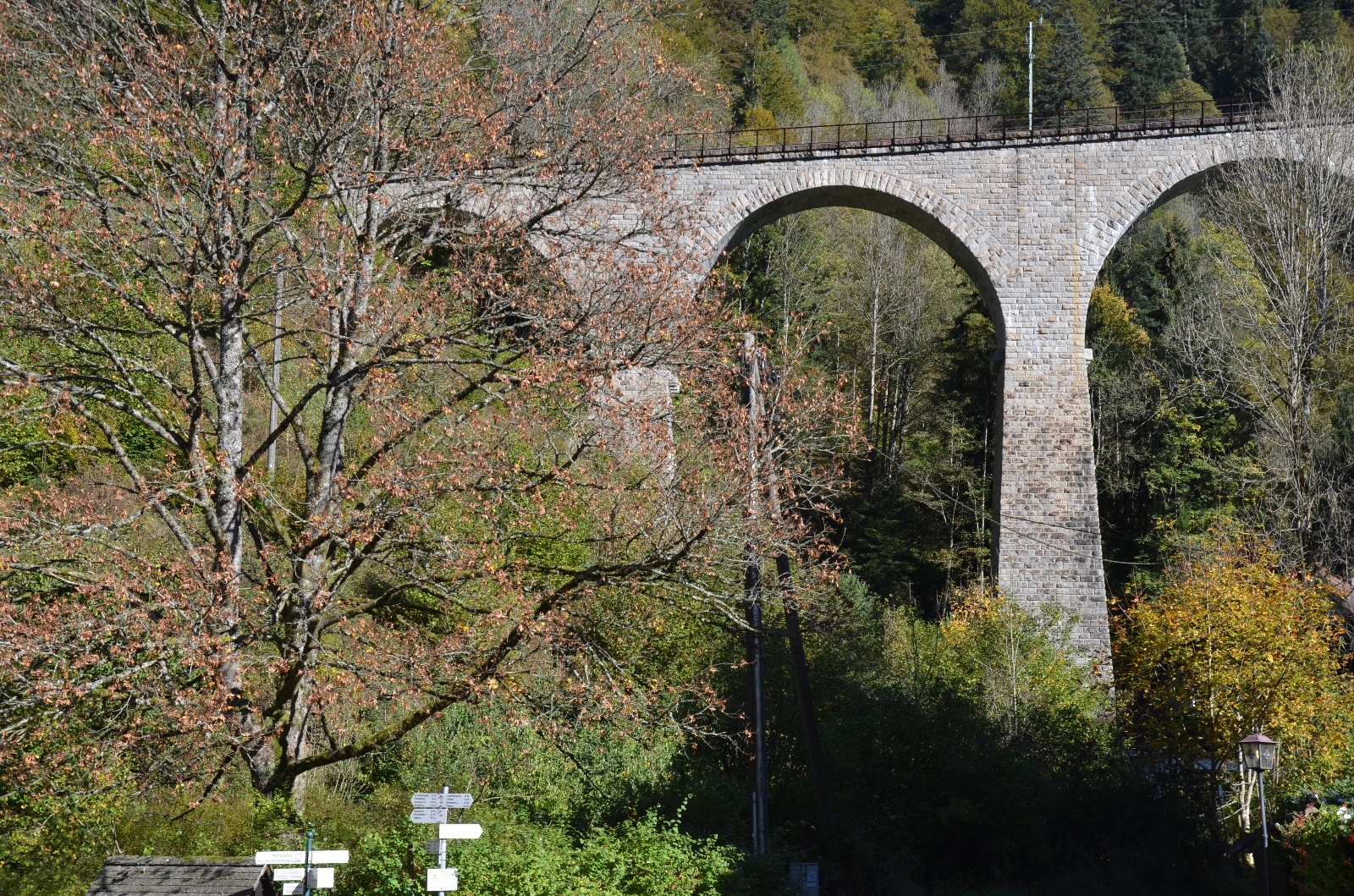 Breisach & Black Forest Germany