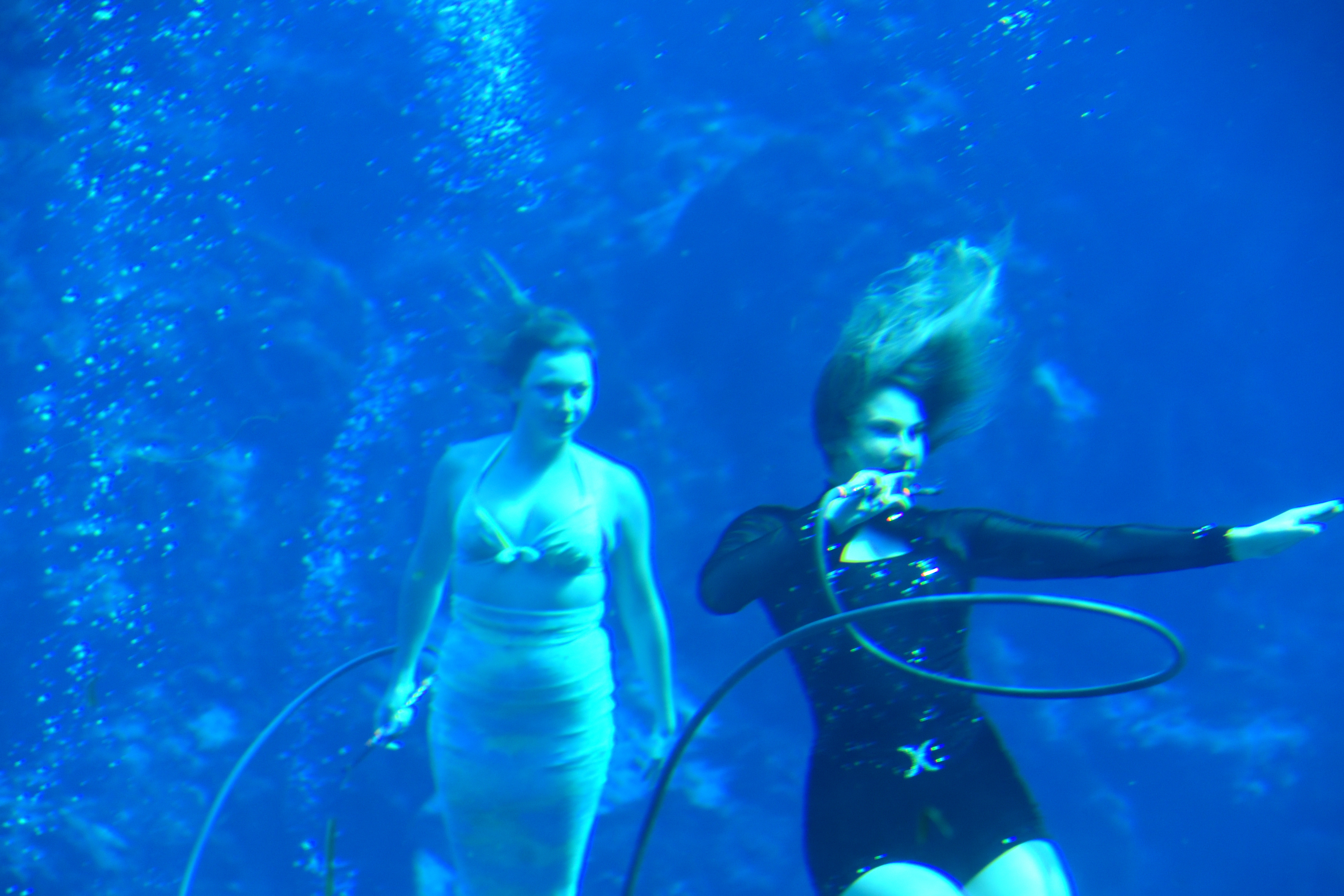 Weeki Wachee Springs State Park