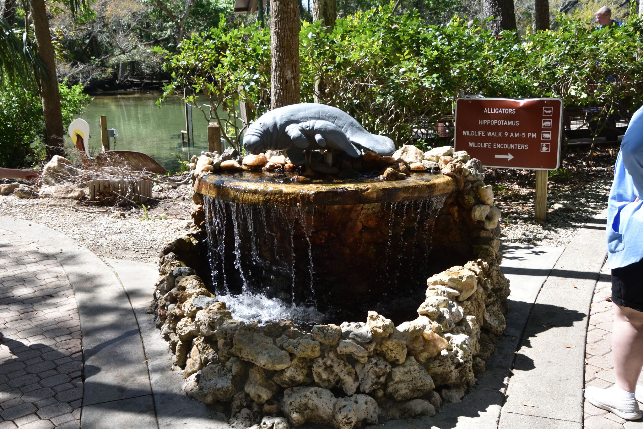 Ellie Schiller Homosassa Springs Wildlife State Pk