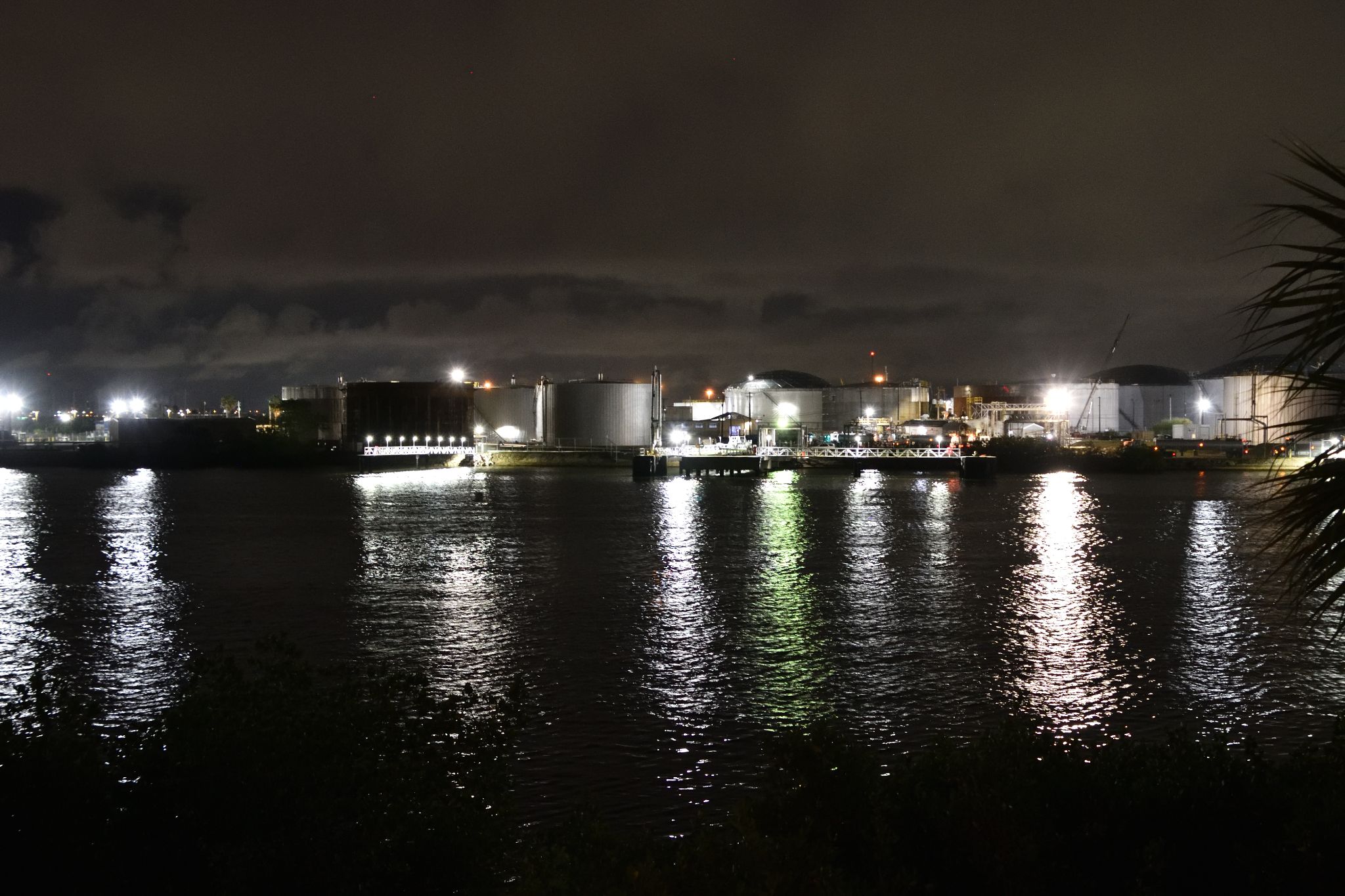 DSC 4985