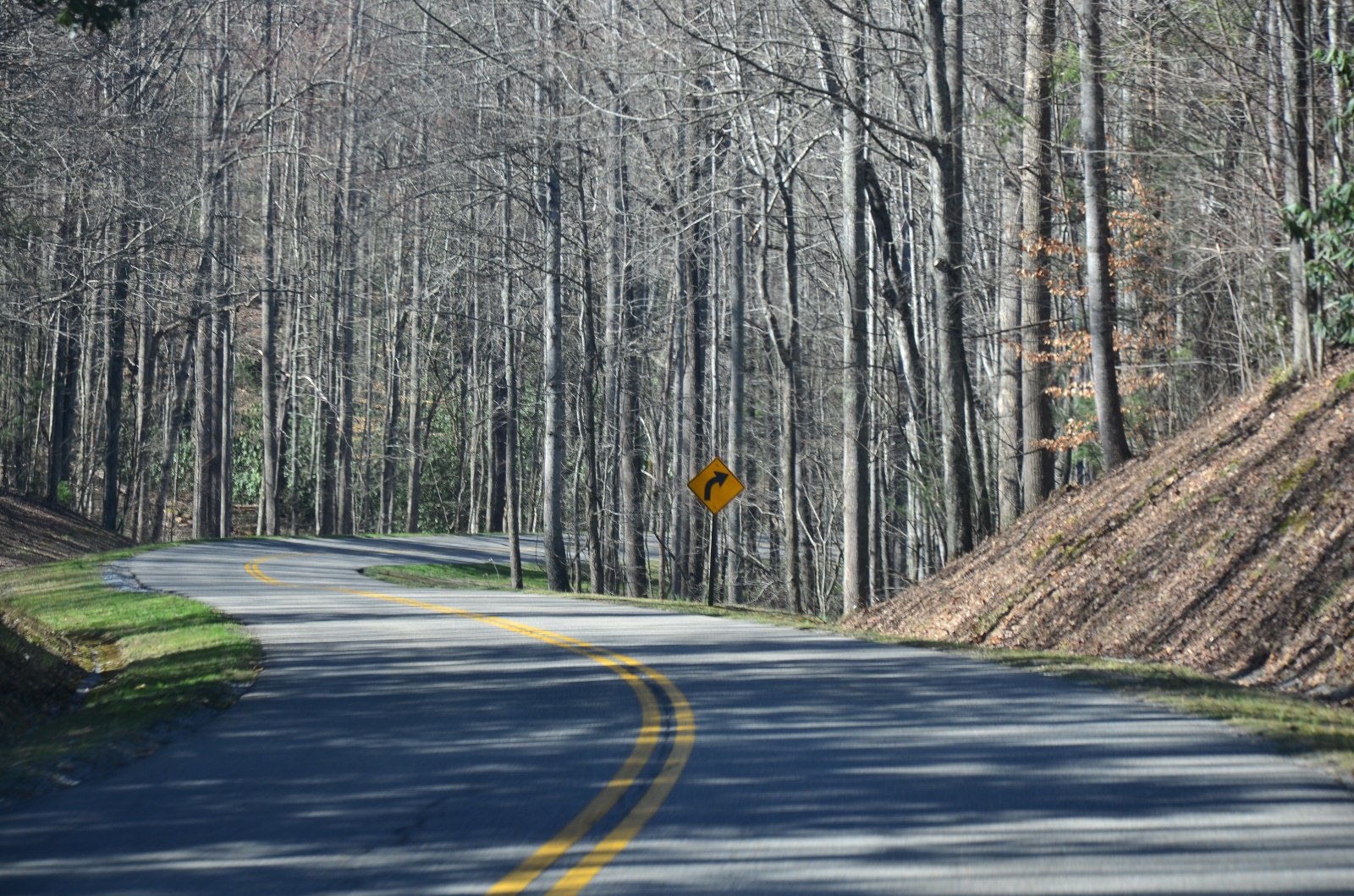 Smokey Mountains National Park, TN