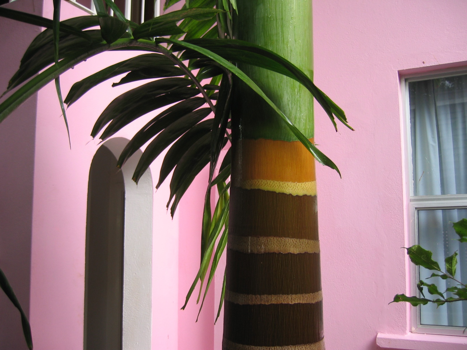 Southern Caribbean Cruise 2006