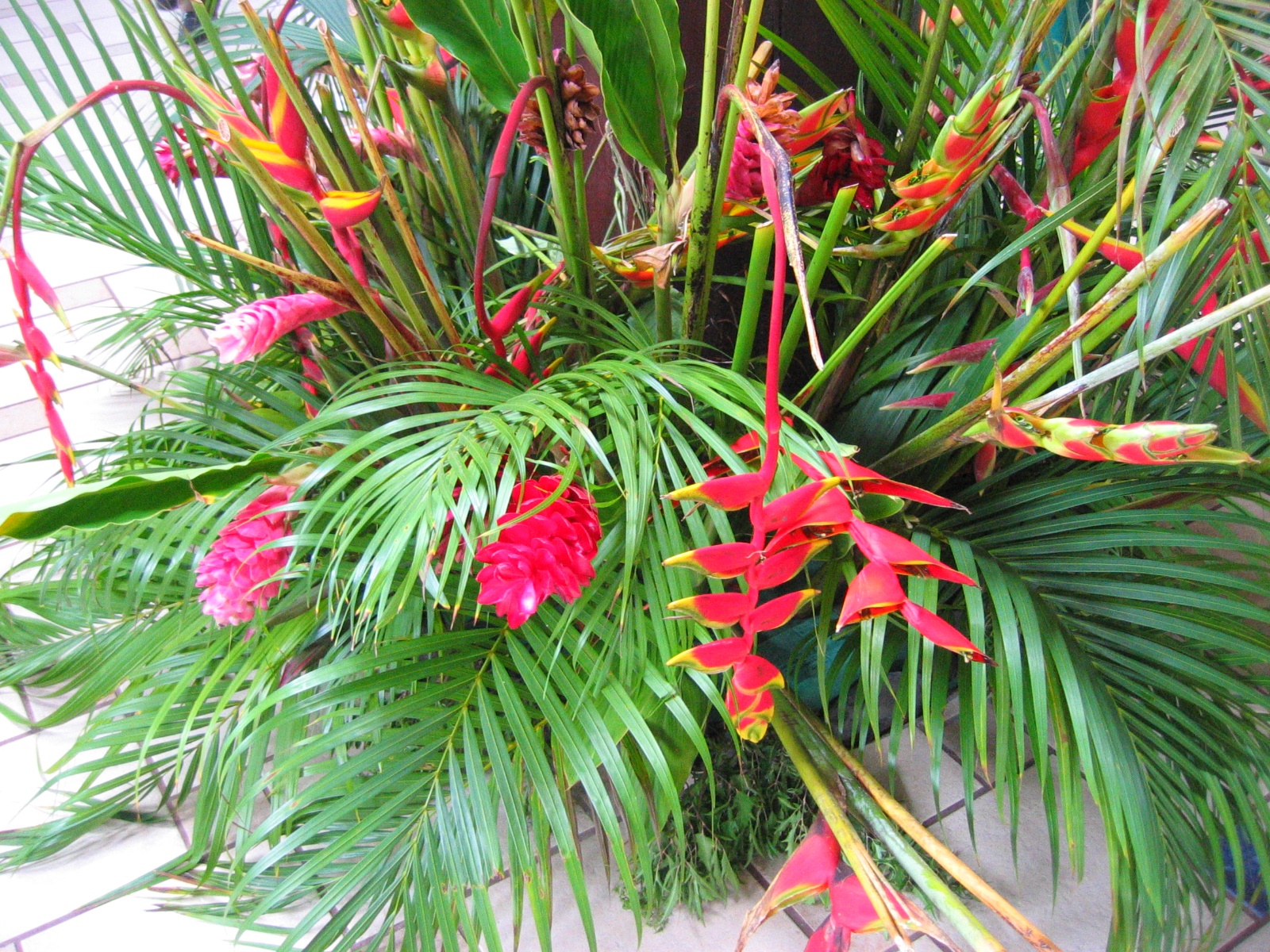 Southern Caribbean Cruise 2006