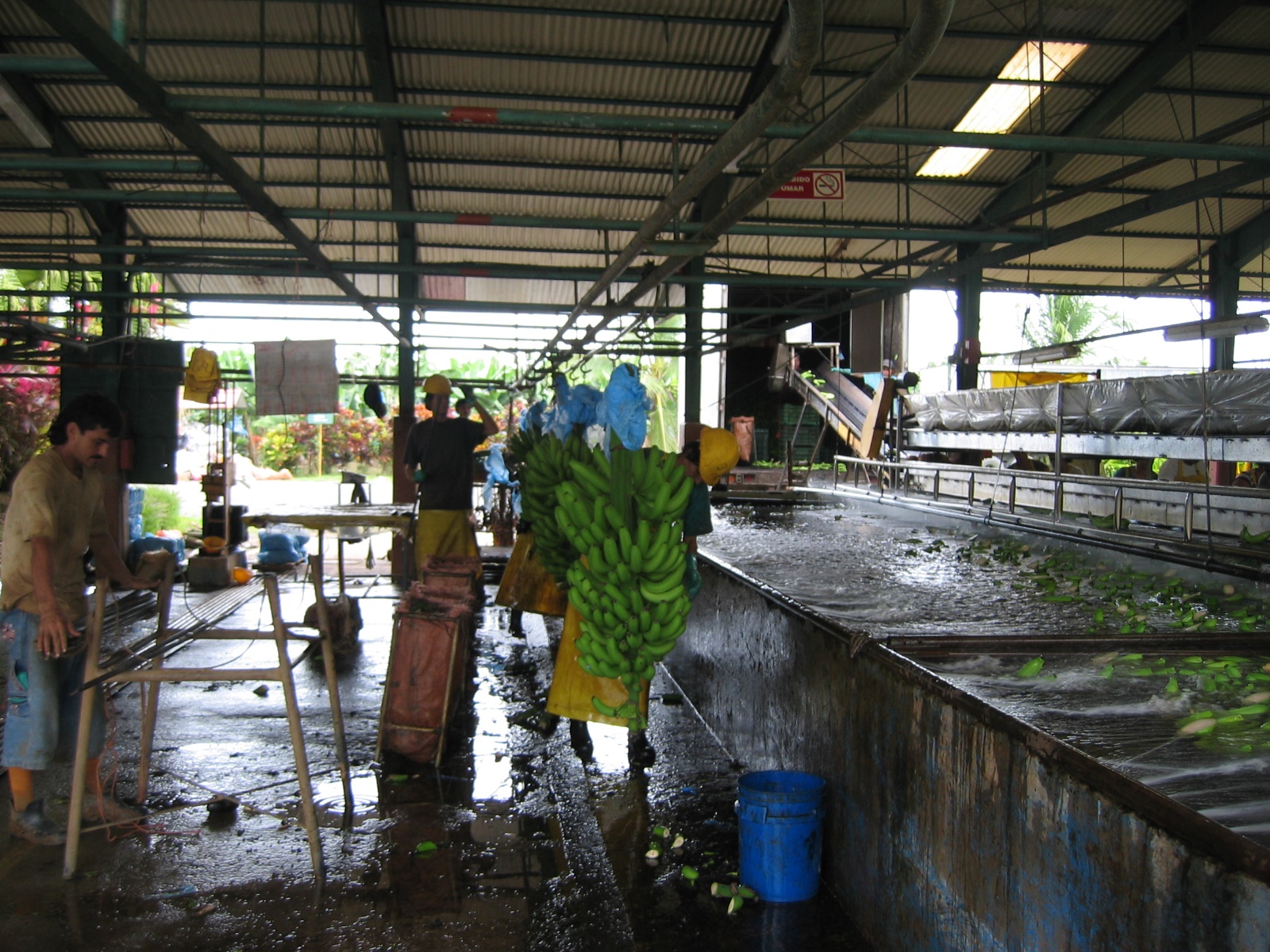 Southern Caribbean Cruise 2006